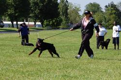 DSC_0214.jpg