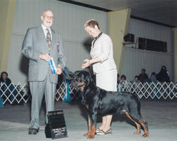 Precious Gems Axel vom Viersen Winners Dog & Best of Winners - Belle-City Kennel Club, February 28, 2009