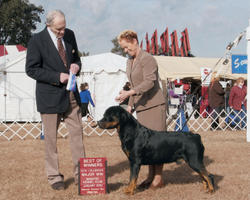 Axel's 2009-2010 AKC Shows