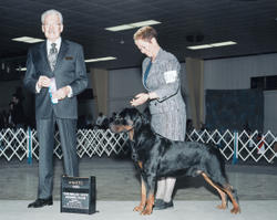 Precious Gems Axel vom Viersen - Winners Dog, Belle-City Kennel Club March 1, 2009