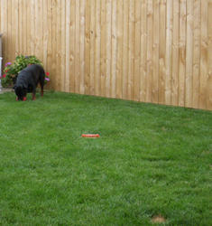 Axel picks up the Jolly Ball...
