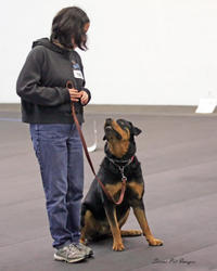 Freya - APDT Rally Obedience