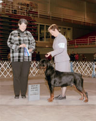Precious Gems Axel vom Viersen Winners Dog and Best of Winners Jesse James KC, St. Joseph, MO 1/30/09